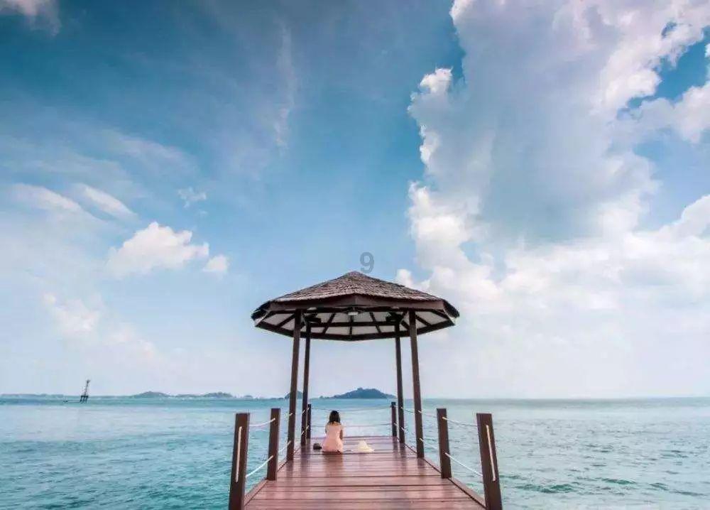 遇到暴雨时该怎么办?知识星球平台